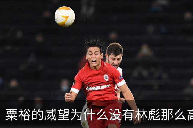 粟裕的威望为什么没有林彪那么高
