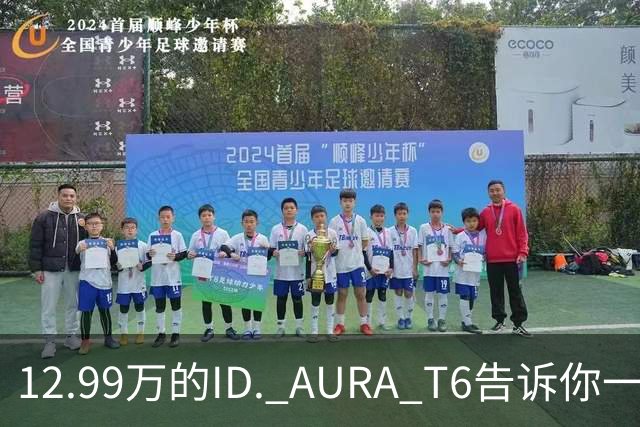 12.99万的ID. AURA T6告诉你一分钱能买两分货